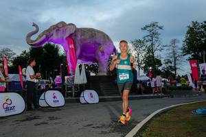 BIB: 
                            <button type="button" onclick="openModal(26529498)" class="btn btn-primary btn-sm float-right btn-popup" data-toggle="modal" data-target=".modal-high-quality">
                        <i class="fas fa-shopping-cart"></i> Add to Cart
                    </button>
                                            <button type="button" onclick="isThisMe(26529498, true)" class="btn btn-success btn-sm float-right btn-popup btn-isme hidden" data-toggle="tooltip" data-placement="bottom" title="นี่คือรูปของคุณใช่ไหม คลิกที่นี่เพื่อเอาเข้าอัลบั้ม">
                        <i class="fas fa-plus"></i> Add to album
                    </button>
                    <button type="button" onclick="isThisMe(26529498, false)" class="btn btn-warning btn-sm float-right btn-popup btn-isnotme hidden">
                        <i class="fas fa-ban"></i> Remove from album
                    </button>